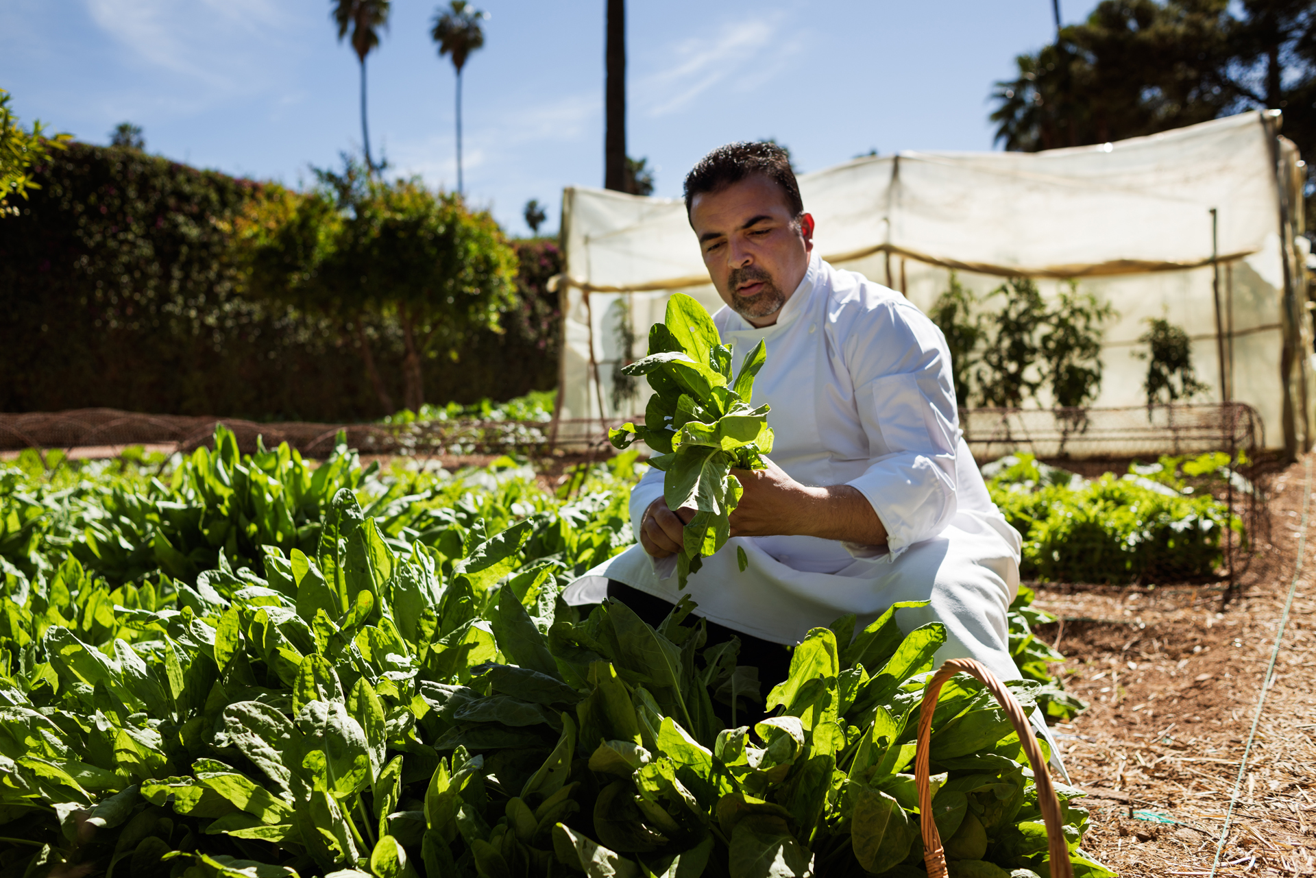 Restaurantes do hotel La Mamounia elevam a experiência gastronômica e celebram a culinária marroquina 8 Chef Rachid Agouray
