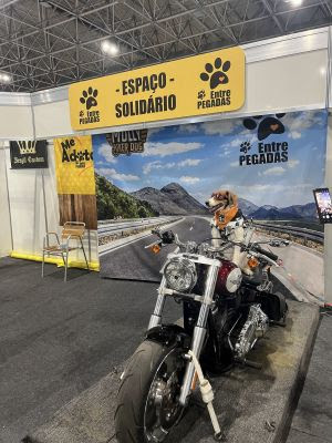 Festival Moto Brasil 2025 reforça causa animal com a ONG Entre Pegadas no Espaço Pet 3 Festival Moto Brasil