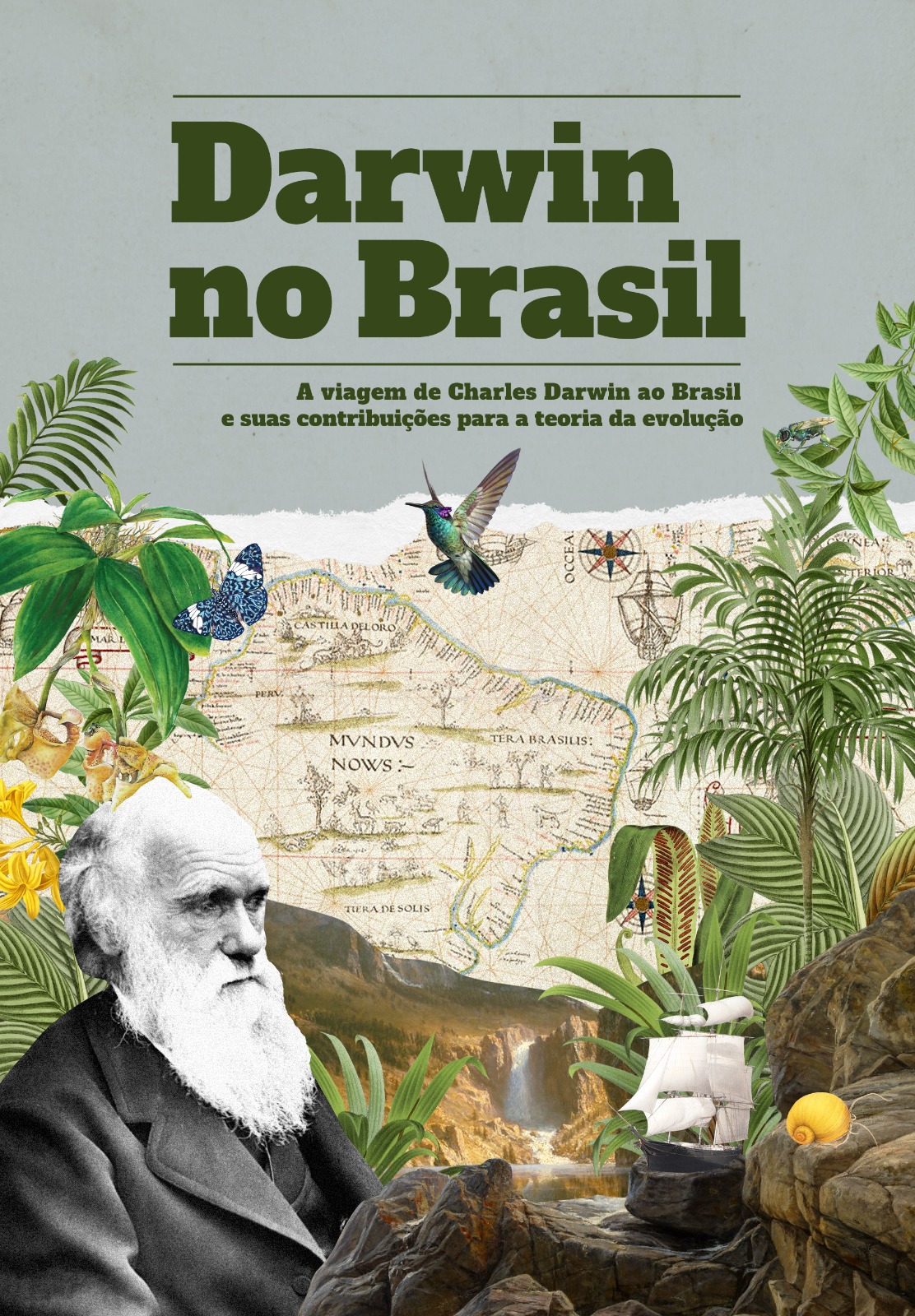 Darwin ao Brasil