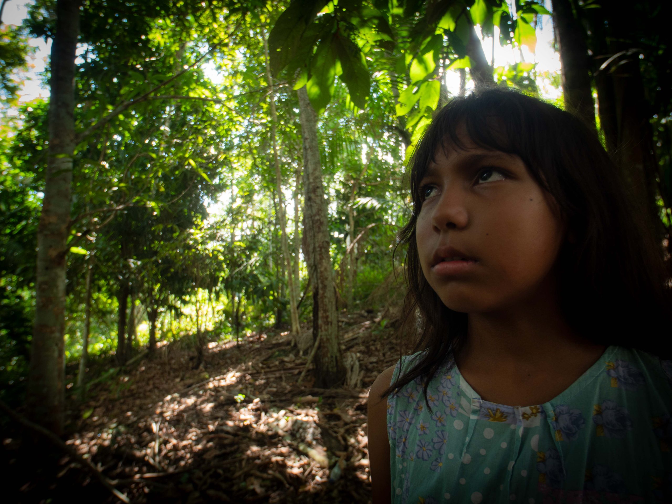 Nhadê: Uma Jornada Encantada na Amazônia e o Despertar da Maturidade Feminina