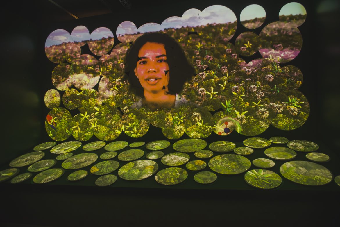 Fruturos - Tempos Amazônicos