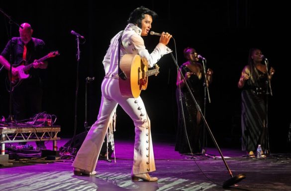 Elvis Presley Performer