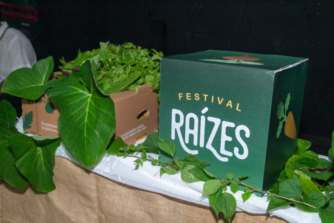 Festival Raízes Festival Raízes