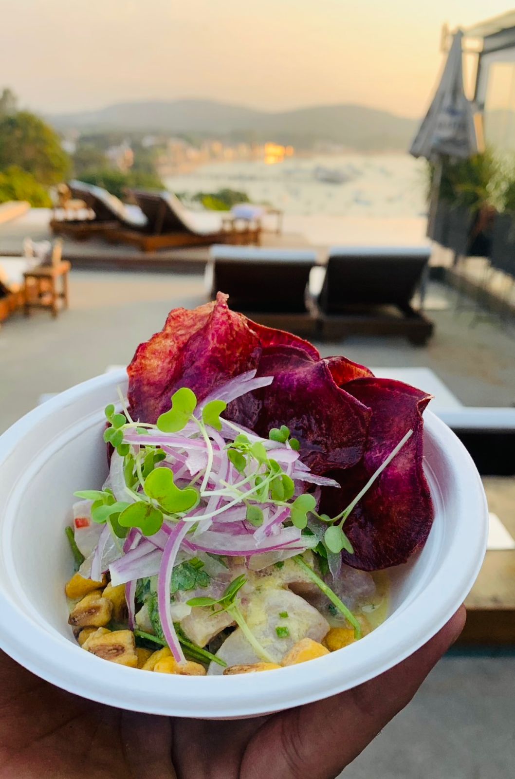 Ceviche – Místico Ceviche - Místico