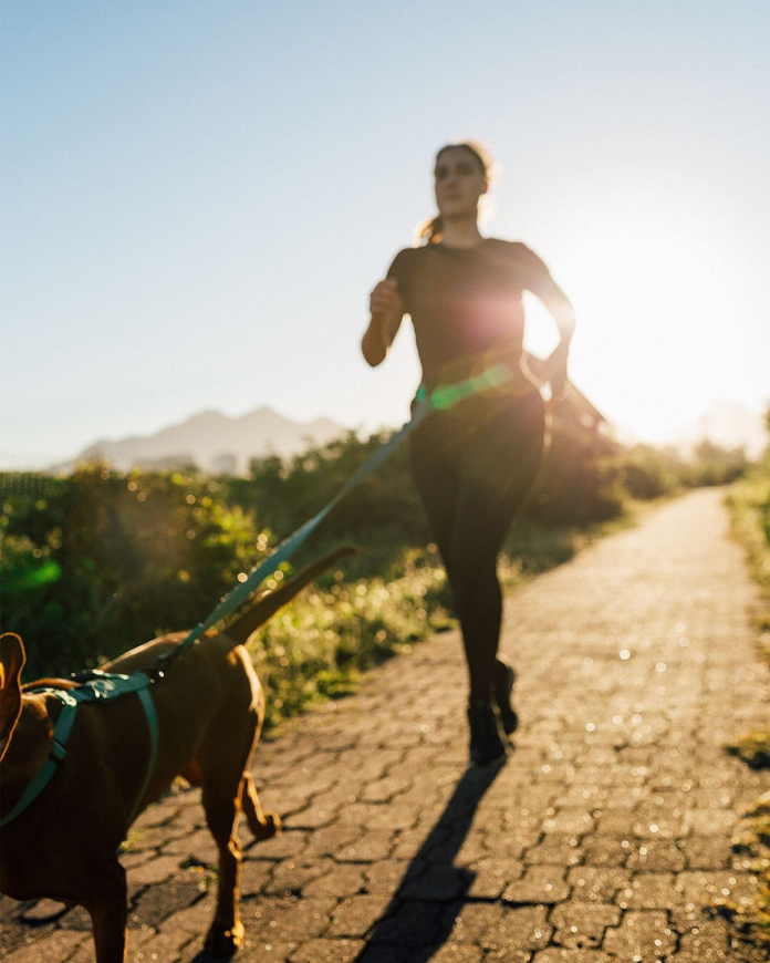 Aldeia promove evento gratuito de corrida da Zee.Dog em parceria com Strava e Thi Coach