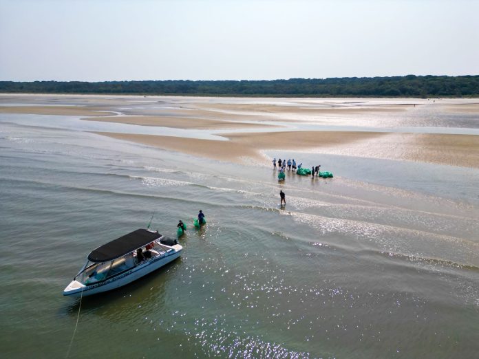 Nova ação de limpeza nas praias e trilhas da Ilha do Mel, no Paraná