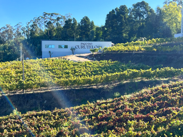 Vila Galé inaugura adega na região dos Vinhos Verdes, em Portugal