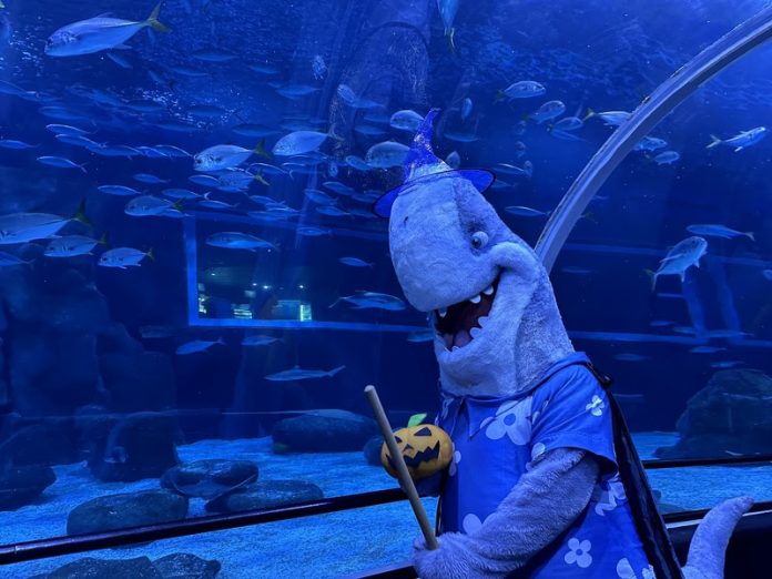 AquaRio celebra Halloween com atrações temáticas