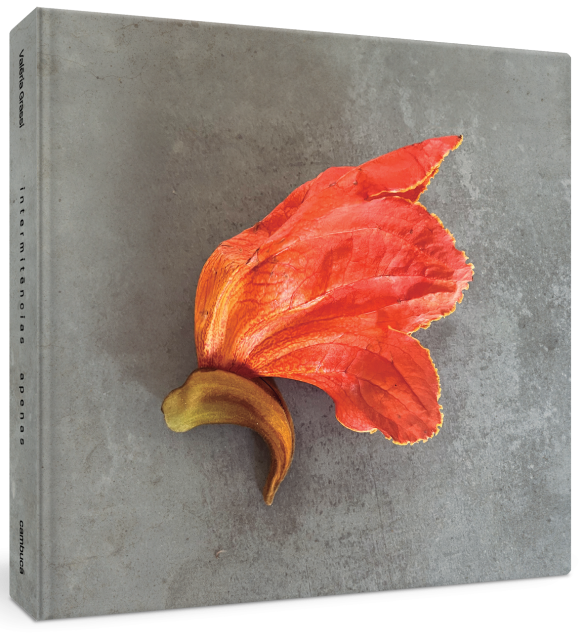 Intermitências apenas