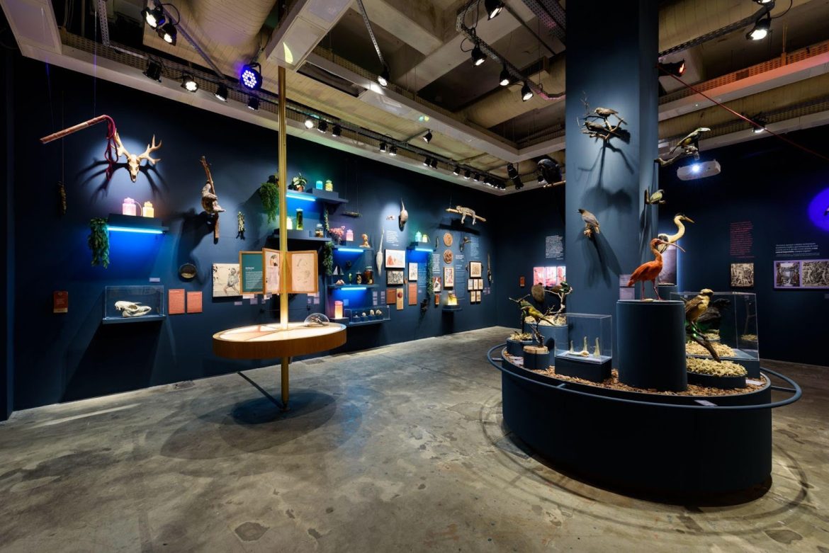 Exposição “Nós - Arte e Ciência por Mulheres”, em cartaz no Futuros - Arte e Tecnologia