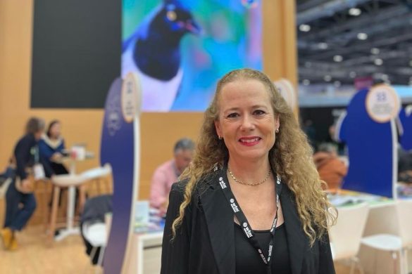 Camilla Barretto na WTM