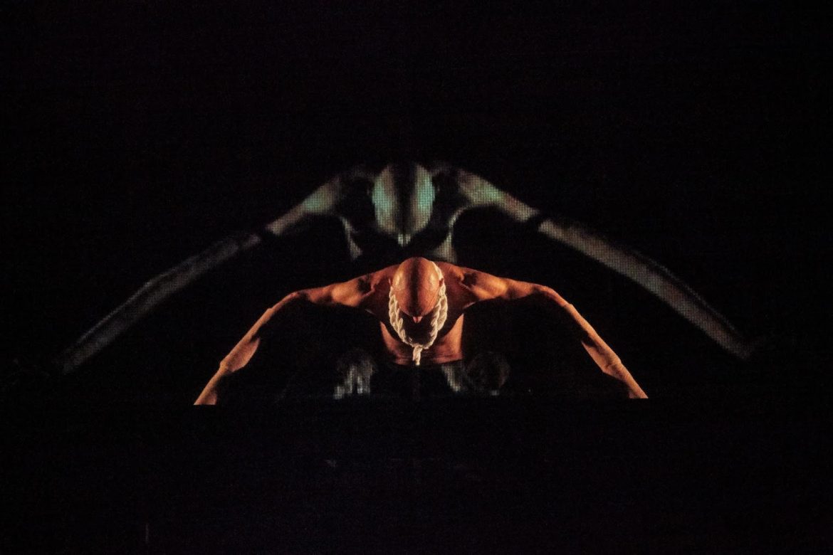 Enquanto você voava, eu criava raízes