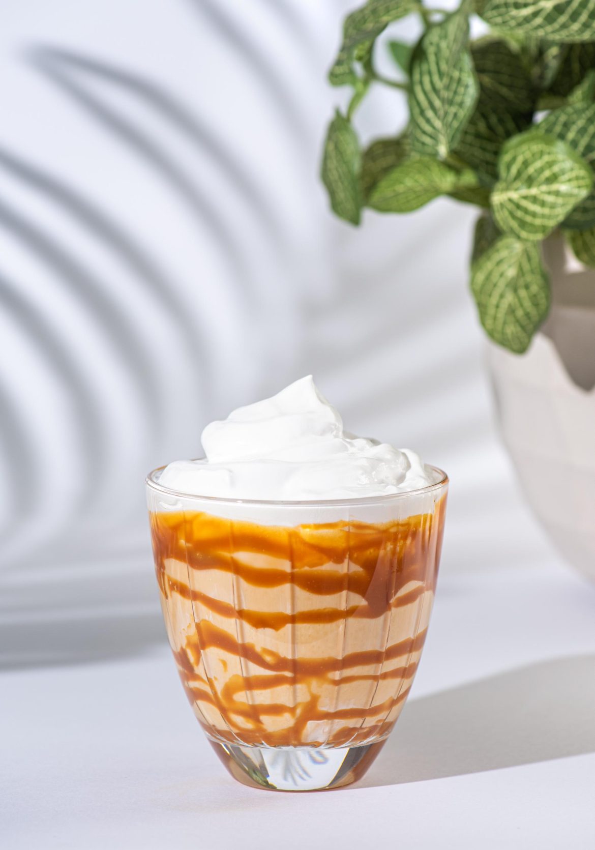 Coé - Frapuccino - Foto: Tomás Vélez