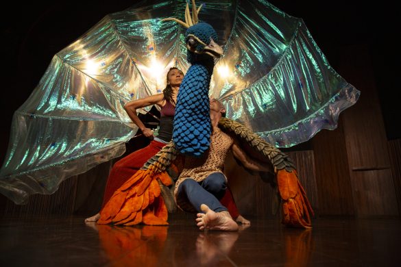 Alicia Peres - Pavão Misterioso