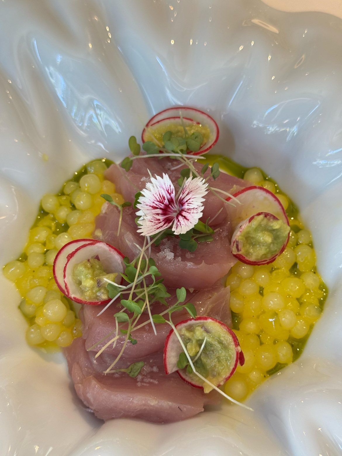 Crudo de atum – Divulgação Le Cordon Bleu Crudo de atum - Divulgação Le Cordon Bleu