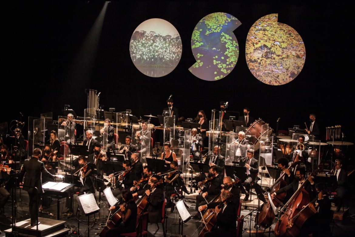 OSB - Foto: Marina Andrade