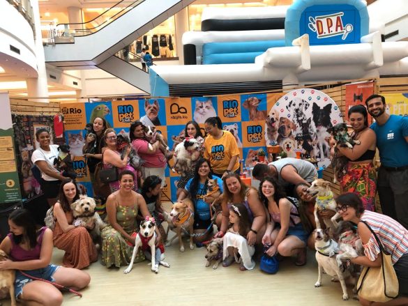 Rio Pet Week