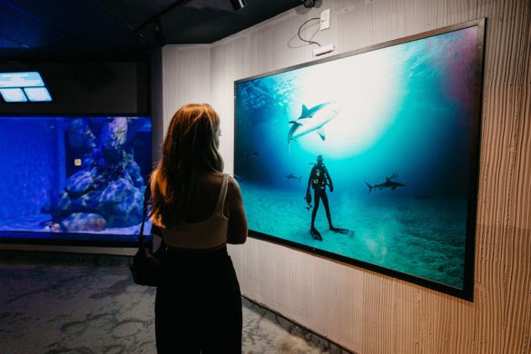 AquaRio celebra a Páscoa com programação especial para crianças e famílias