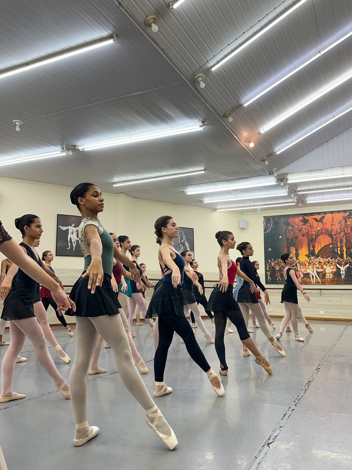 Ballet Dalal Achcar realiza Aula Pública gratuita no Teatro da EcoVilla Ri Happy