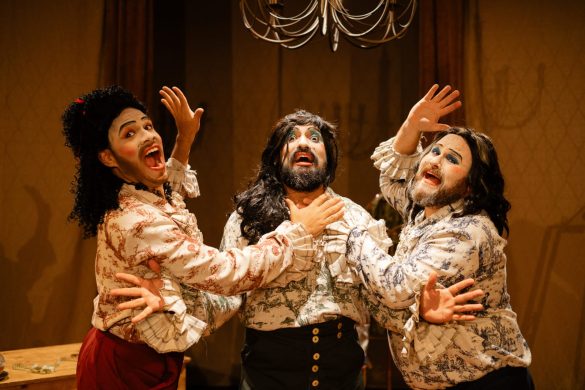 O VESTIDO DA RAINHA - FOTO DE ROSANE BENAZI