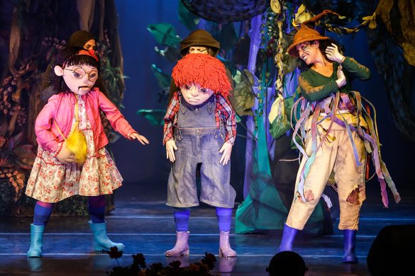 A Floresta dos Mistérios | Márcio Araújo | Teatro Arthur de Azevedo-SP | foto Silvia Machado