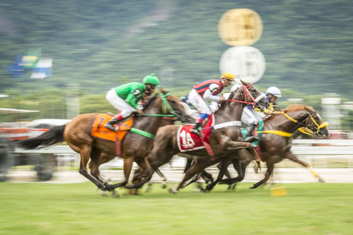 Com entrada gratuita, Grande Prêmio Brasil Shopping Leblon agita o Jockey Club Brasileiro no feriado de Corpus Christi