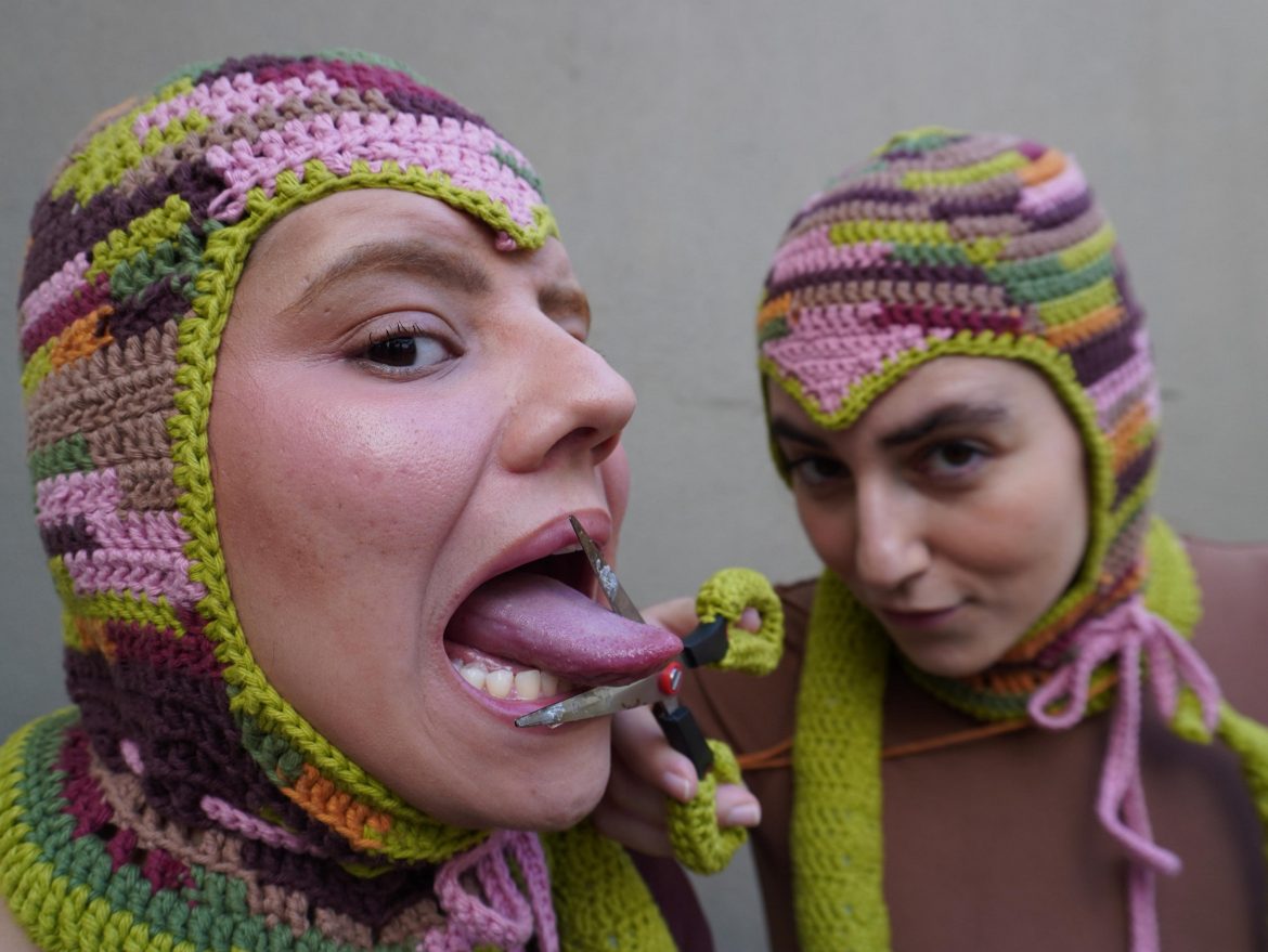 Lagartixa sem rabo - foto: Julia Morais