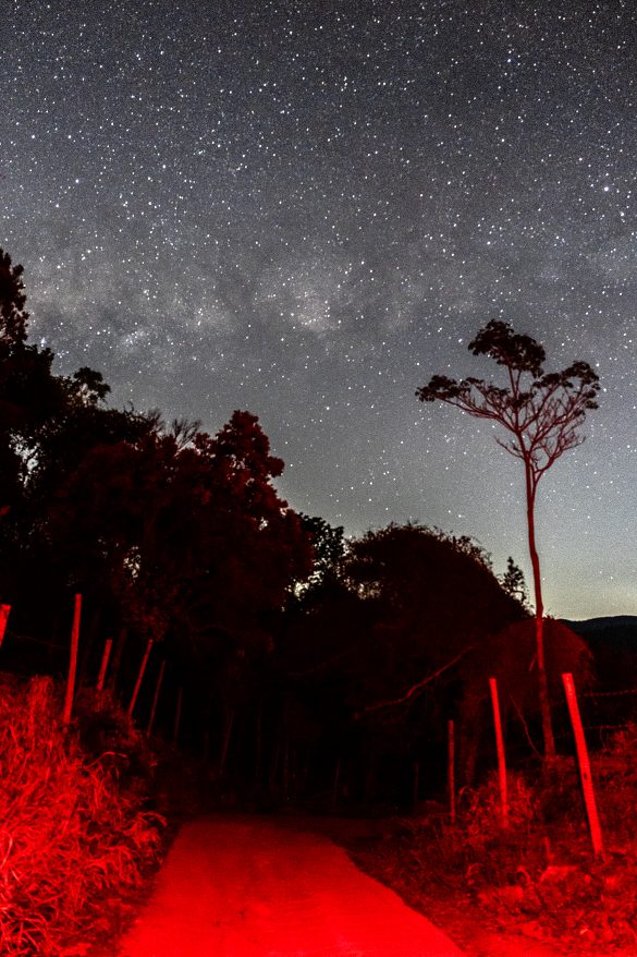 “Correspondências: memórias e identidade", no Centro Cultural Correios Rio de Janeiro