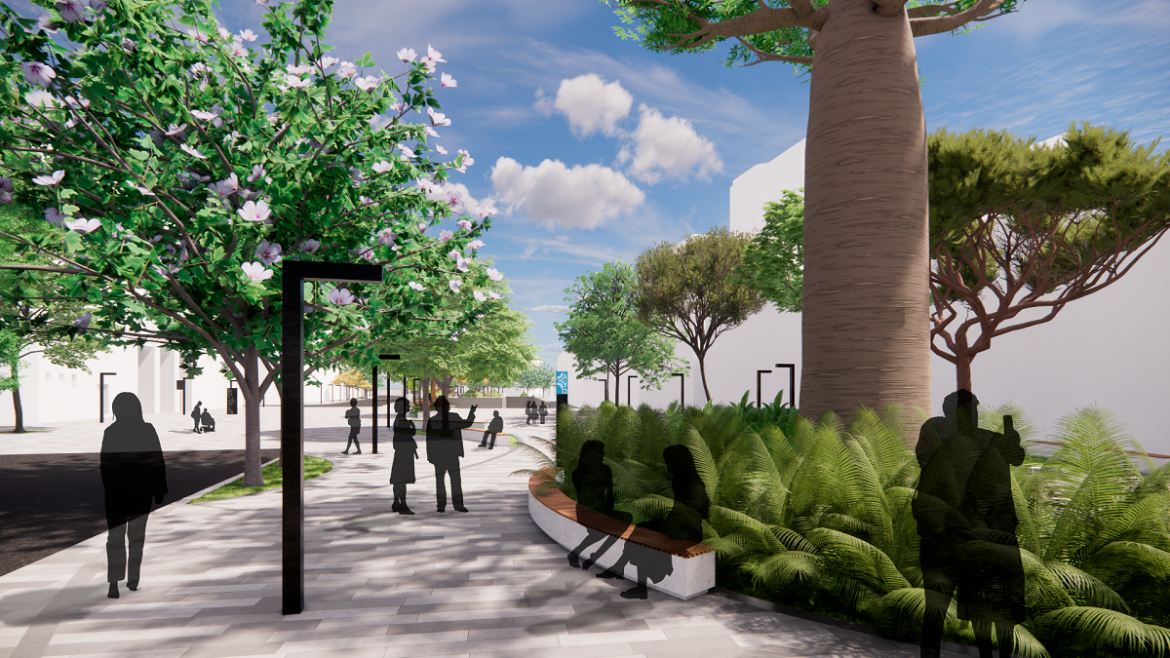 Praça Cais do Valongo - árvore baobá