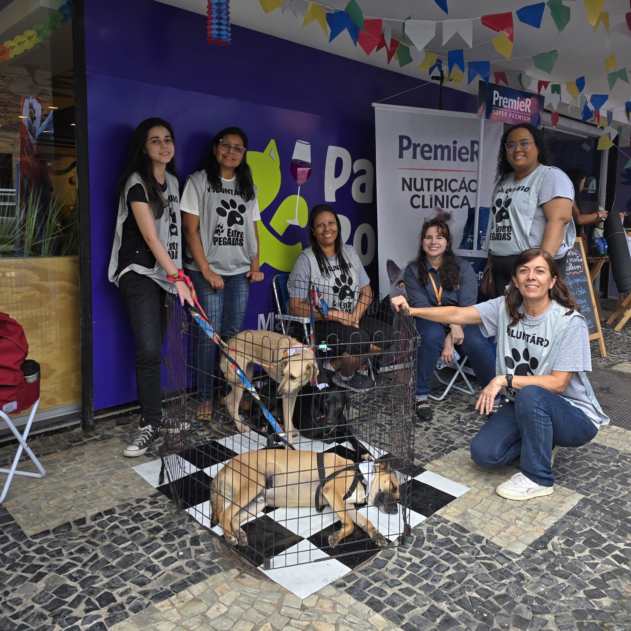 Festival Moto Brasil 2025 reforça causa animal com a ONG Entre Pegadas no Espaço Pet 5 Trabalho dos voluntários é árduoVGCOM - FMB 2025 - Entre Pegadas