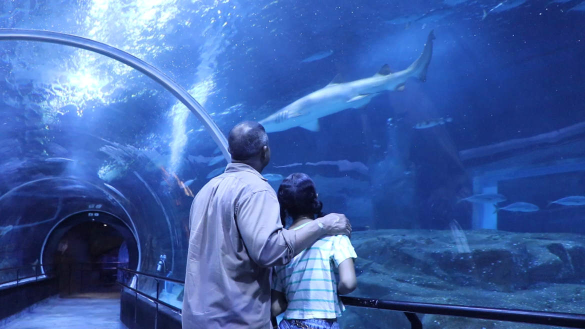 AquaRio celebra Dia dos Pais
