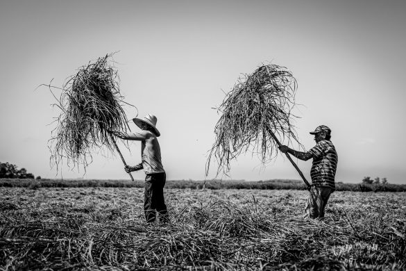 Leopoldo Vasselo Sorrila
