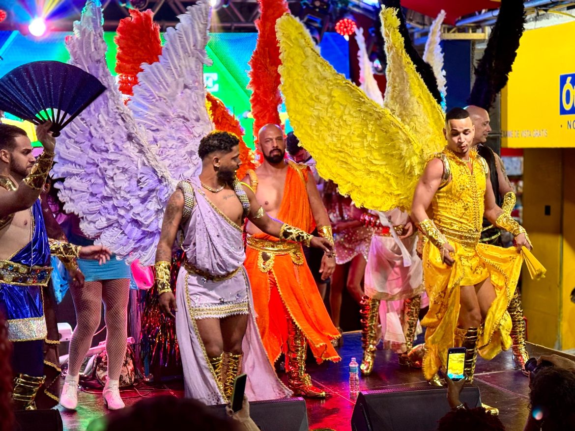 Parada LGBTQIAPN+