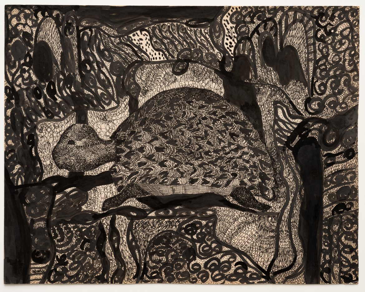 Wanda Pimentel_Sem título, da série Animais Preto_Branco _ Untitled, from the Black_White Animals series]_Ph Eduardo Ortega