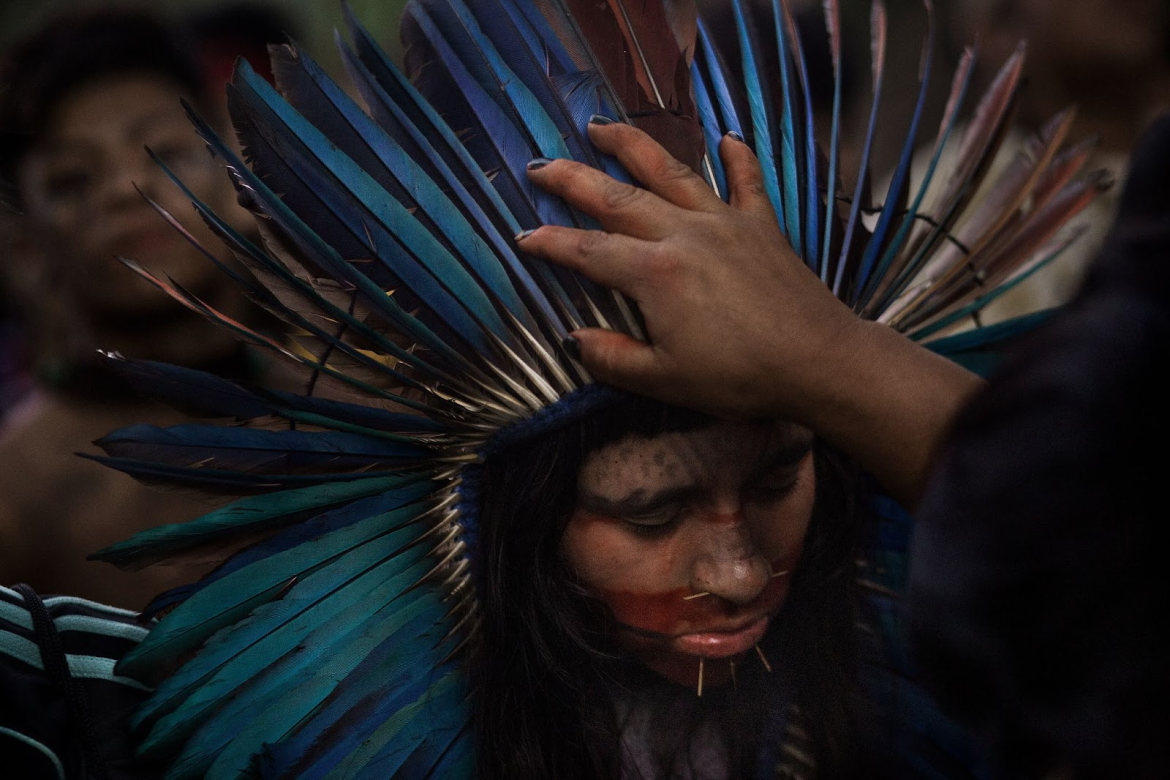 Projeto Ruínas da Floresta - Foto: Rafael Vilela