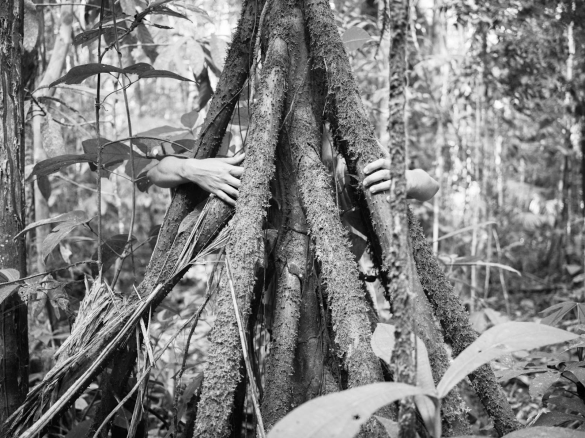 Trabalho da artista Bia Monteiro, na exposição “CLIMAXX”, atração da Primavera do Musehum - imagem: acervo da artista