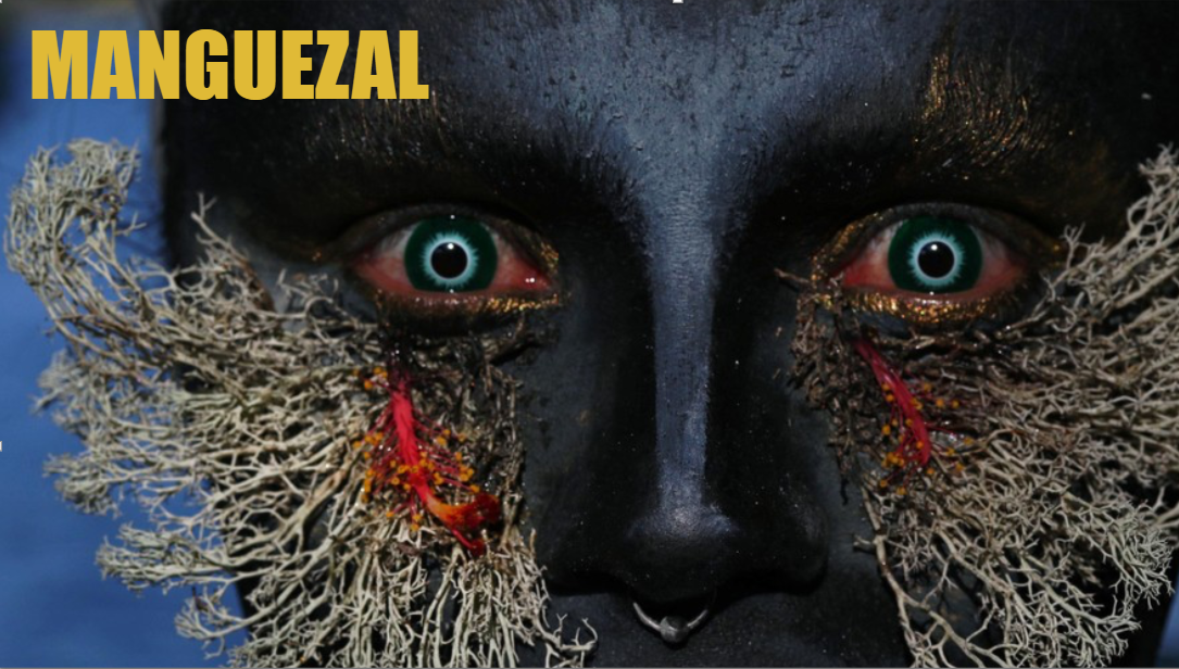 Manguezal Manguezal
