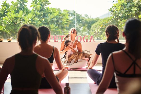 Shopping Metropolitano Barra recebe edição do Pet Yoga com filhotes para adoção