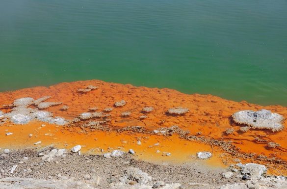 O Olhar que Abraça o Rea