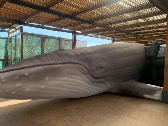 Baleia jubarte inflável