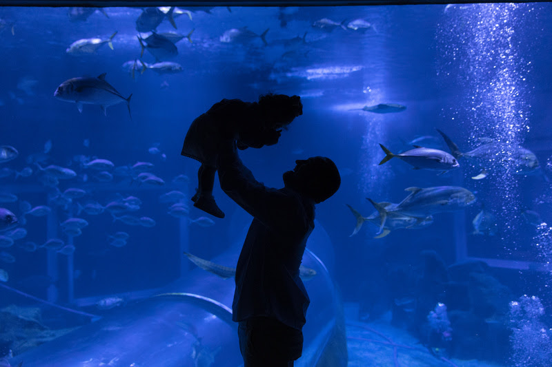 AquaRio AquaRio