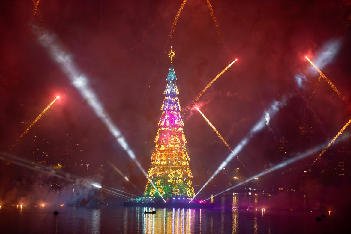 Árvore do Rio - Foto: Pedro Brandão