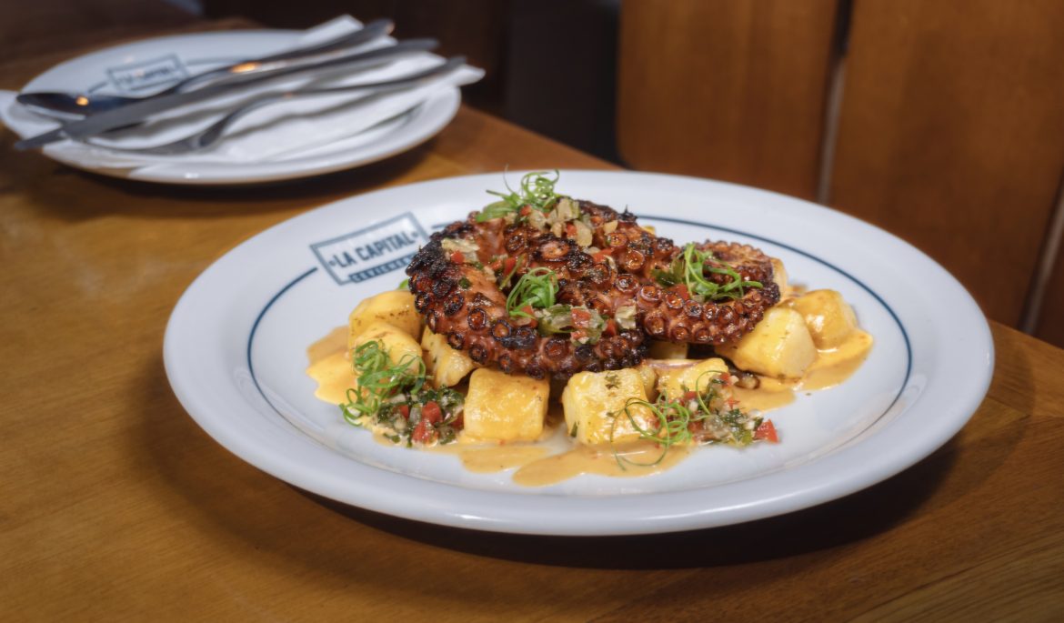 Polvo e batata Polvo e batata