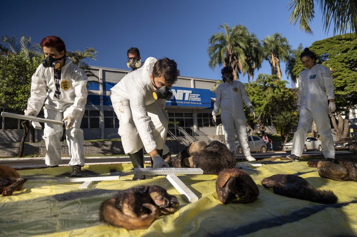 Protesto na frente do DNIT em 2023 Foto Hei Nascimento