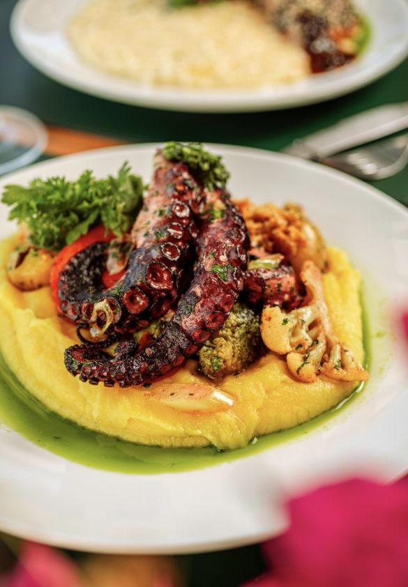 Polvo com purê de baroa