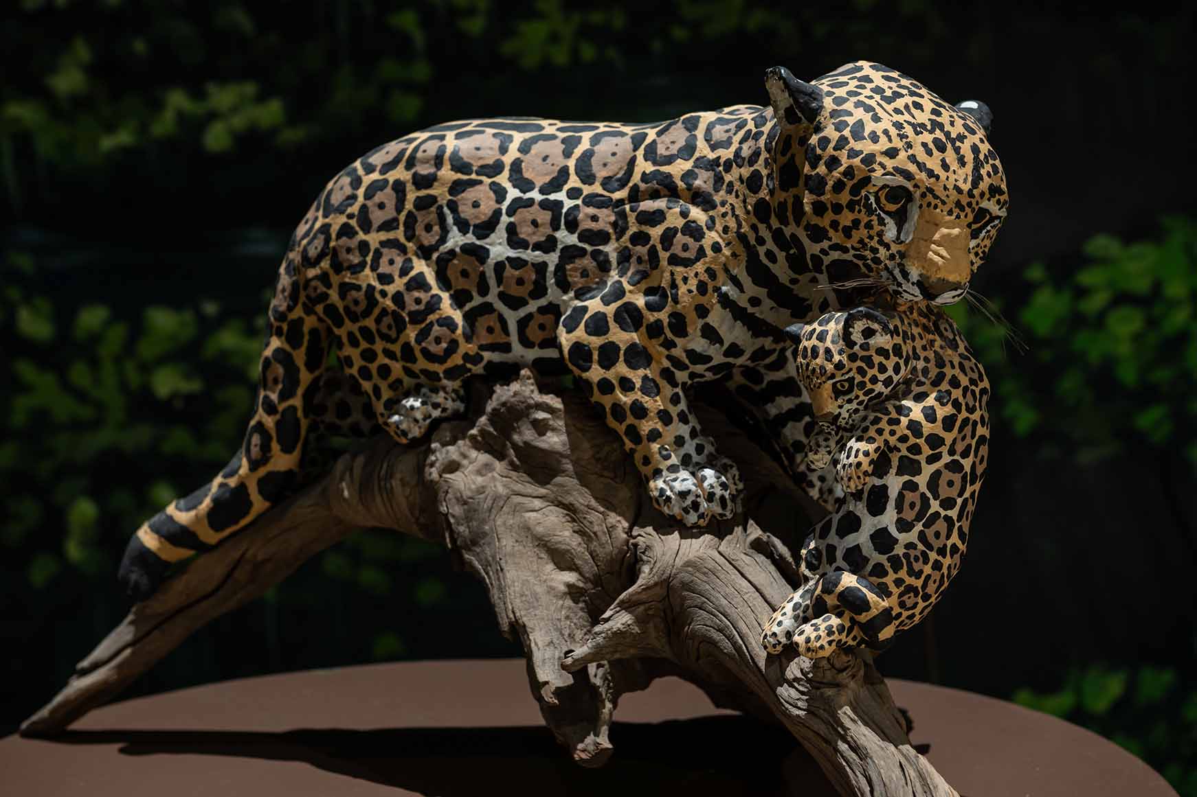 Exposição “Mata Viva” é prorrogada no Rio e transforma o CRAB em uma imersão inédita pelos biomas brasileiros 8 Pantanal - Julio das Onças