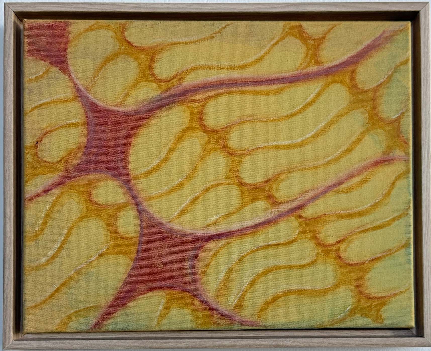 Casa70 Galeria tem nova artista representada 8 Samira Pavesi