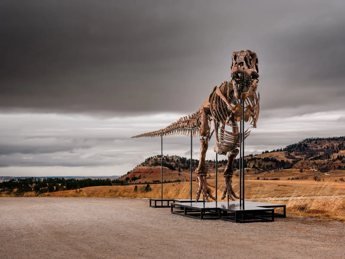 T. Rex 'Gus'