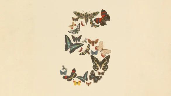 Anthropic pede desculpas por limitação invisível no Claude Fable 5