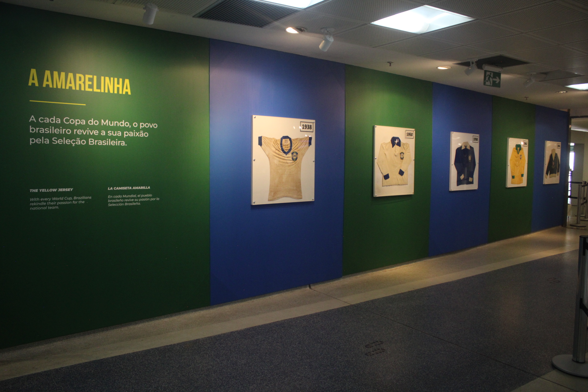Arquivo Viva maracanã